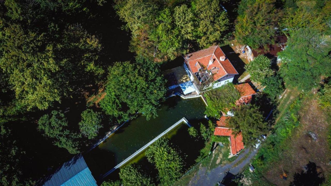 Рибарник Forest Мagic Topolitsa Exterior photo