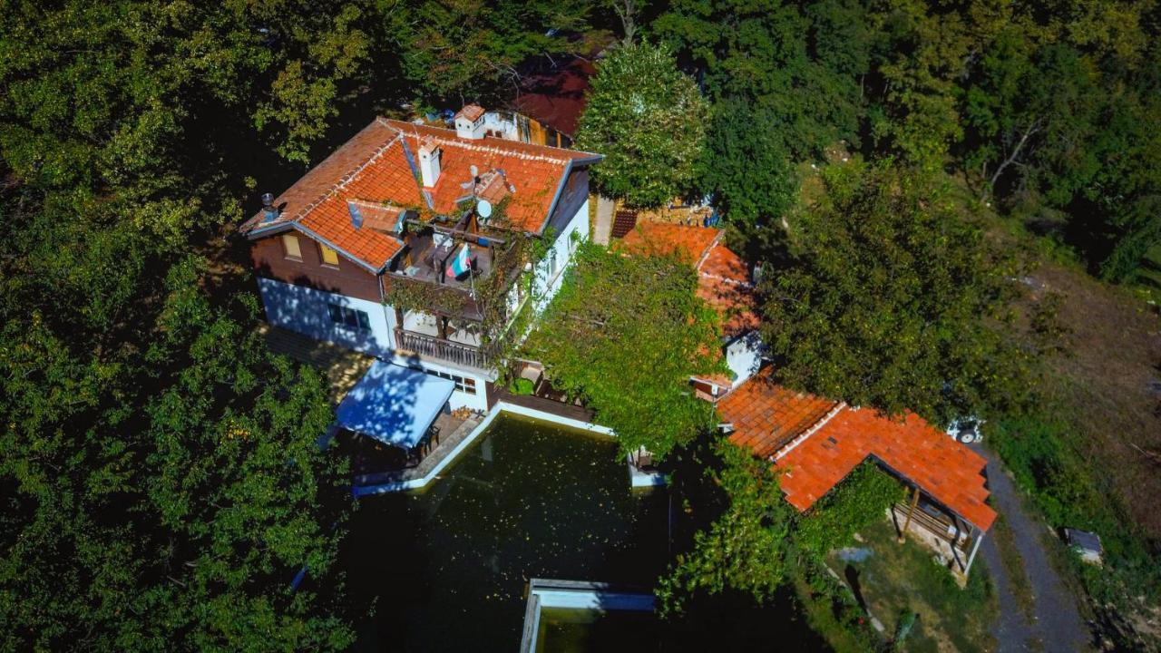 Рибарник Forest Мagic Topolitsa Exterior photo