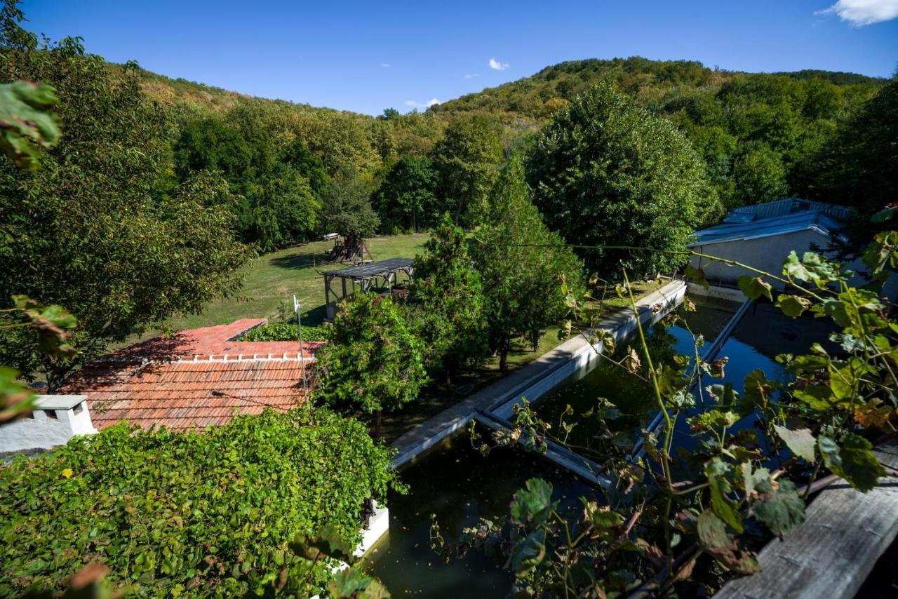 Рибарник Forest Мagic Topolitsa Exterior photo