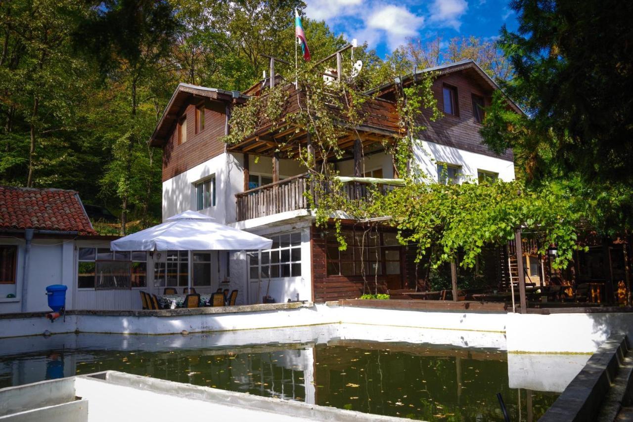 Рибарник Forest Мagic Topolitsa Exterior photo