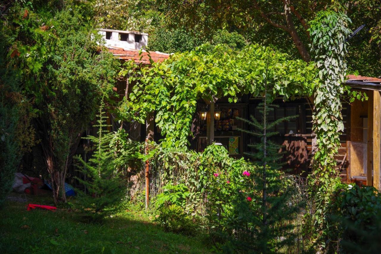 Рибарник Forest Мagic Topolitsa Exterior photo