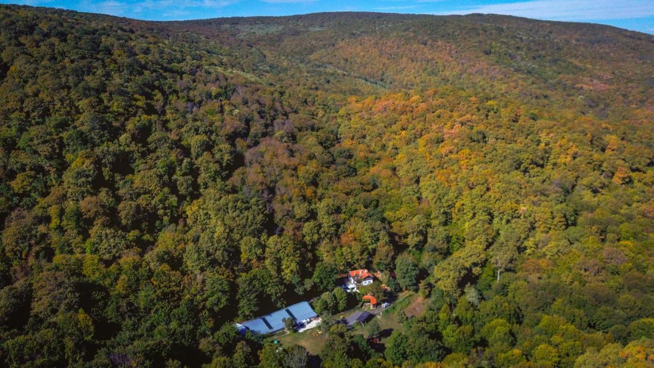 Рибарник Forest Мagic Topolitsa Exterior photo